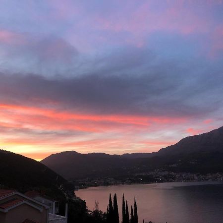 Villa Garden Apartments Herceg Novi Buitenkant foto