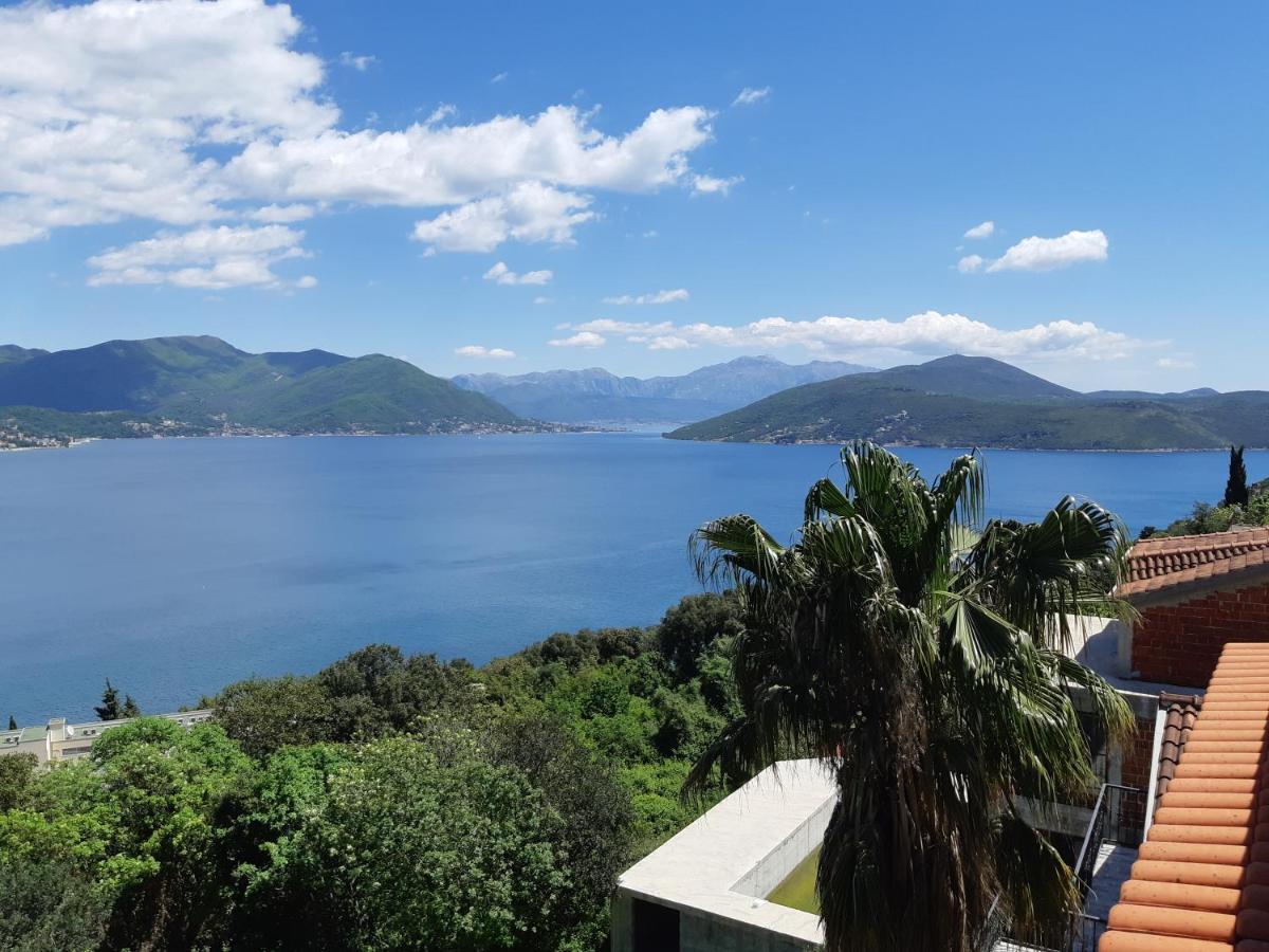 Villa Garden Apartments Herceg Novi Buitenkant foto