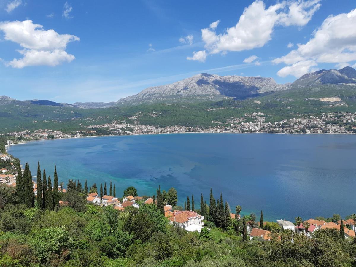 Villa Garden Apartments Herceg Novi Buitenkant foto
