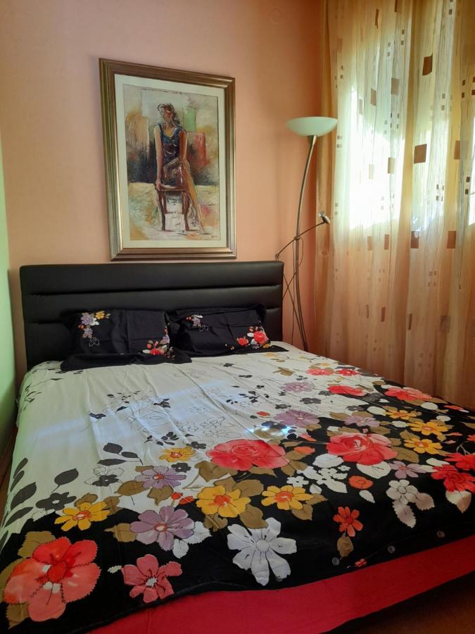 Villa Garden Apartments Herceg Novi Buitenkant foto