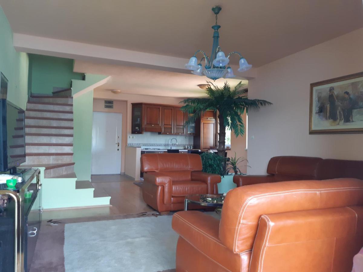 Villa Garden Apartments Herceg Novi Buitenkant foto