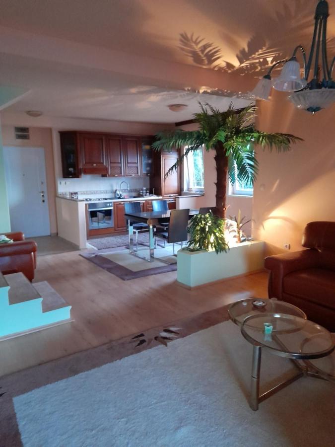 Villa Garden Apartments Herceg Novi Buitenkant foto