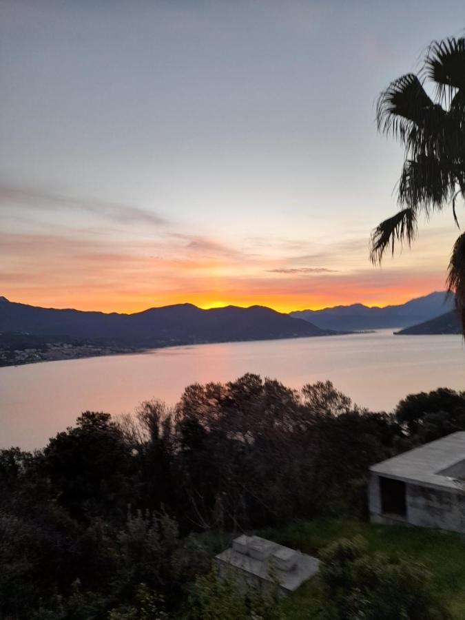 Villa Garden Apartments Herceg Novi Buitenkant foto